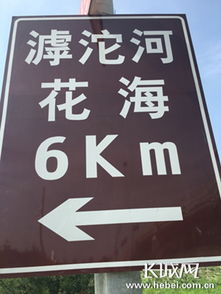 滹沱河畔百花盛開(kāi)，石家莊市民賞花正當(dāng)時(shí)